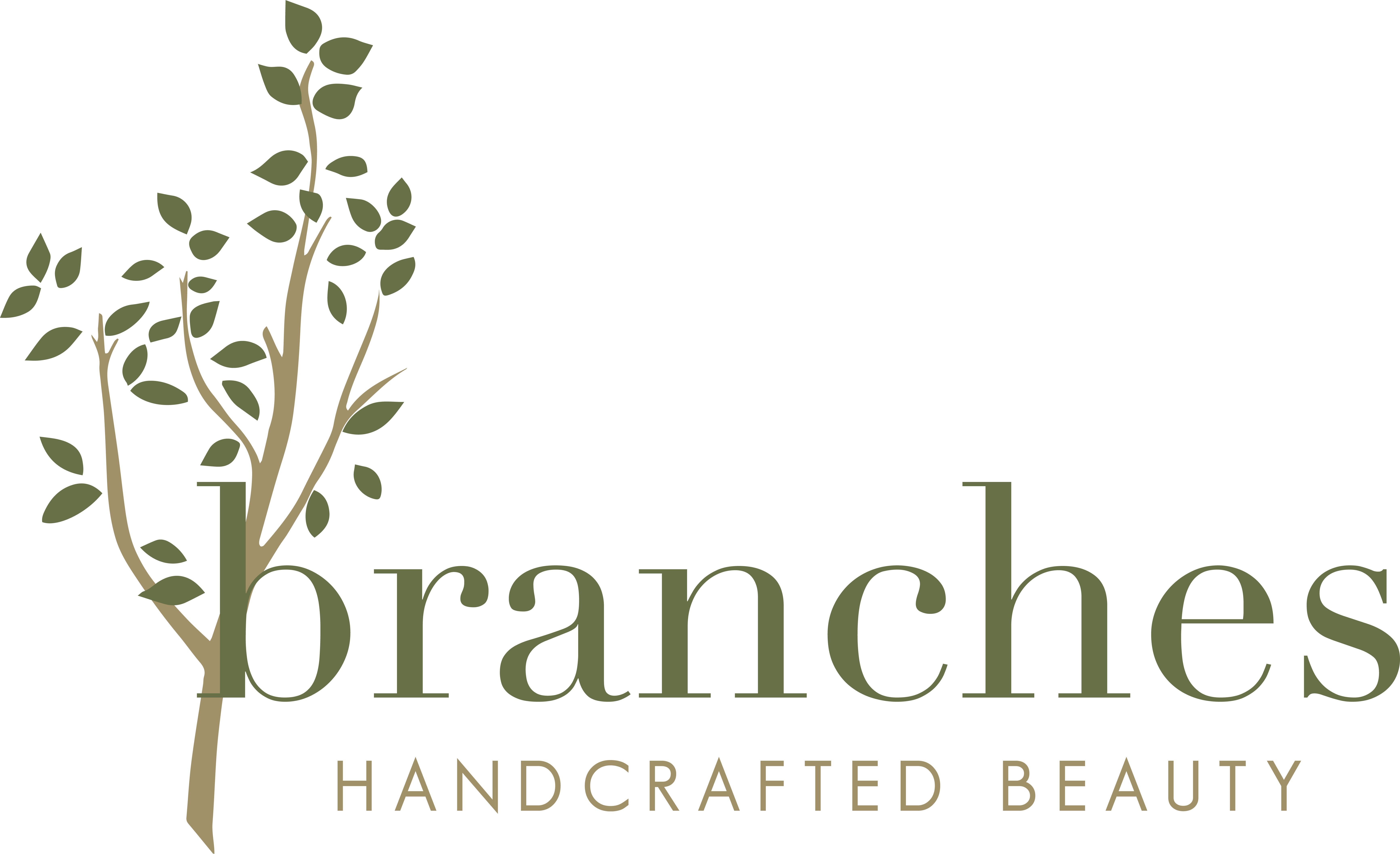 Branches Logo
